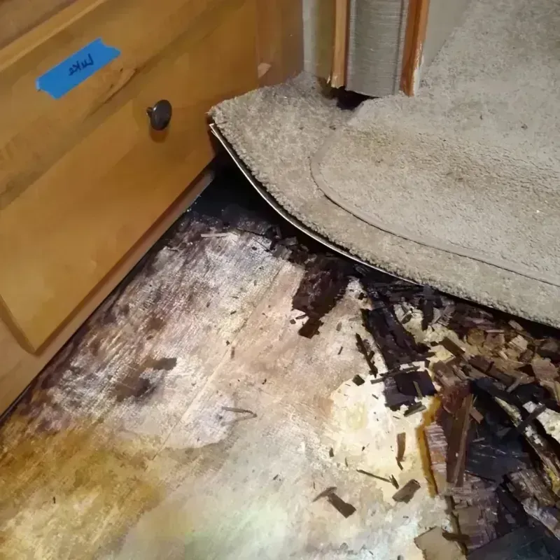 Wood Floor Water Damage in Norton Shores, MI